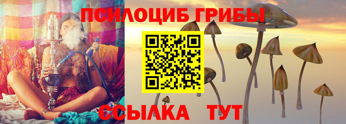 наркотики  Галлюциногенные грибы мицелий  Вход с VPN  Алушта 